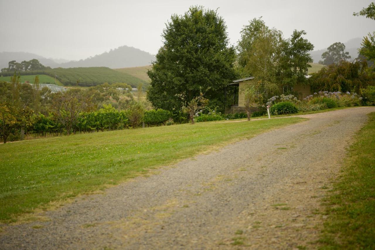 Borrodell Vineyard Ξενοδοχείο Orange Εξωτερικό φωτογραφία