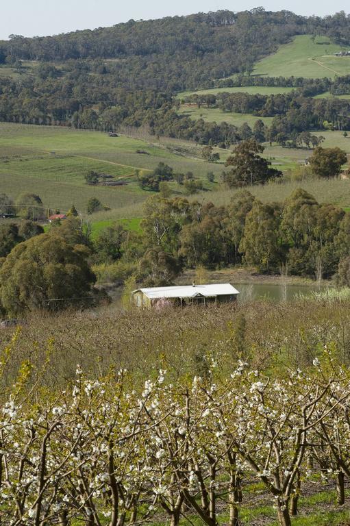 Borrodell Vineyard Ξενοδοχείο Orange Εξωτερικό φωτογραφία