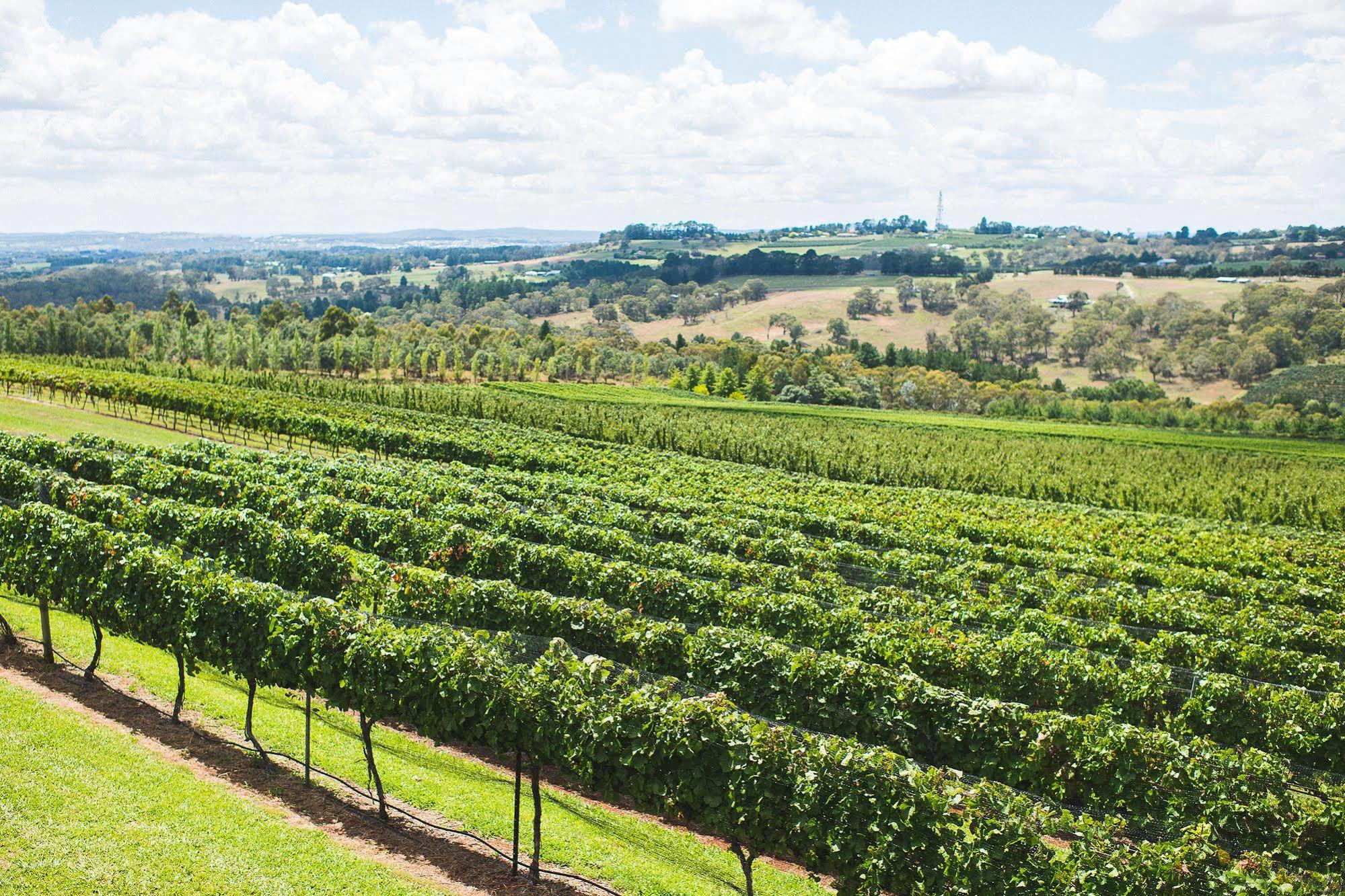 Borrodell Vineyard Ξενοδοχείο Orange Εξωτερικό φωτογραφία